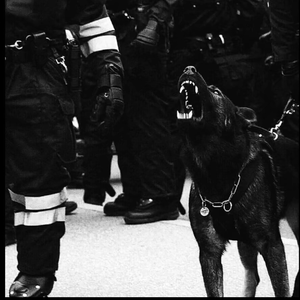 性一交一乱一优A片
